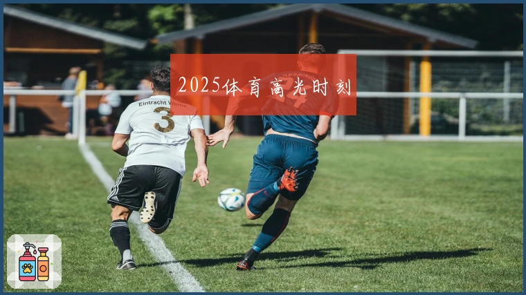2025体育高光时刻
