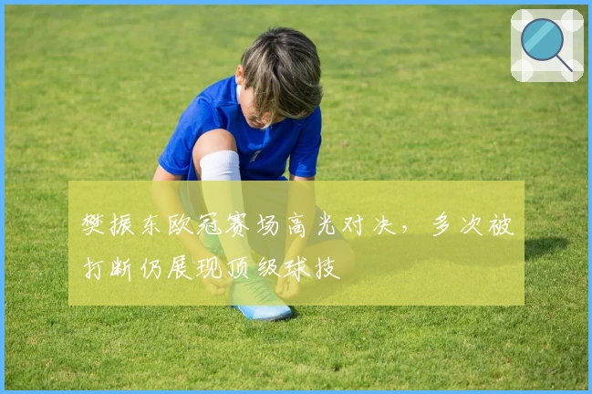 樊振东欧冠赛场高光对决，多次被打断仍展现顶级球技