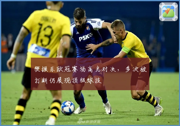 樊振东欧冠赛场高光对决，多次被打断仍展现顶级球技